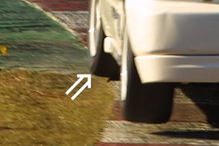 はみ出ております!